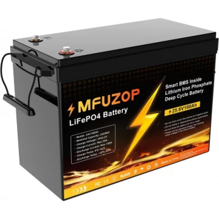 LiFePO4 24V 100Ah Акумулятор MFUZOP, 100A, BMS, 2560Wh