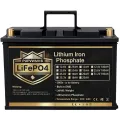 LiFePO4 24V/100Ah Акумулятор PUPVWMHB з BMS для резервного живлення LiFePO4 24V/100Ah Акумулятор PUPVWMHB з BMS для резервного живлення